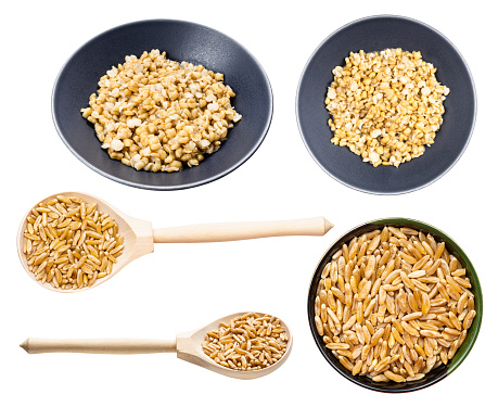 grano khorasan o kamut