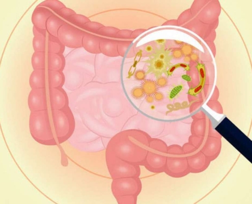 MICROBIOTA INTESTINALE