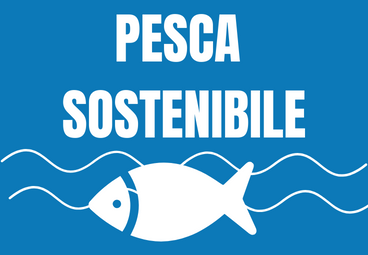 PESCA SOSTENIBILE