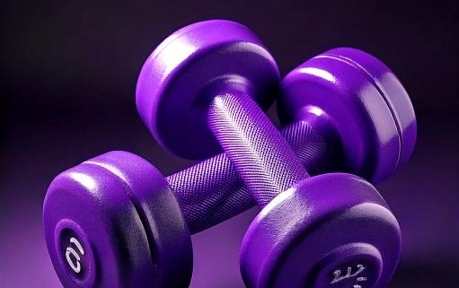 PESETTI (MANUBRI) PER PALESTRA